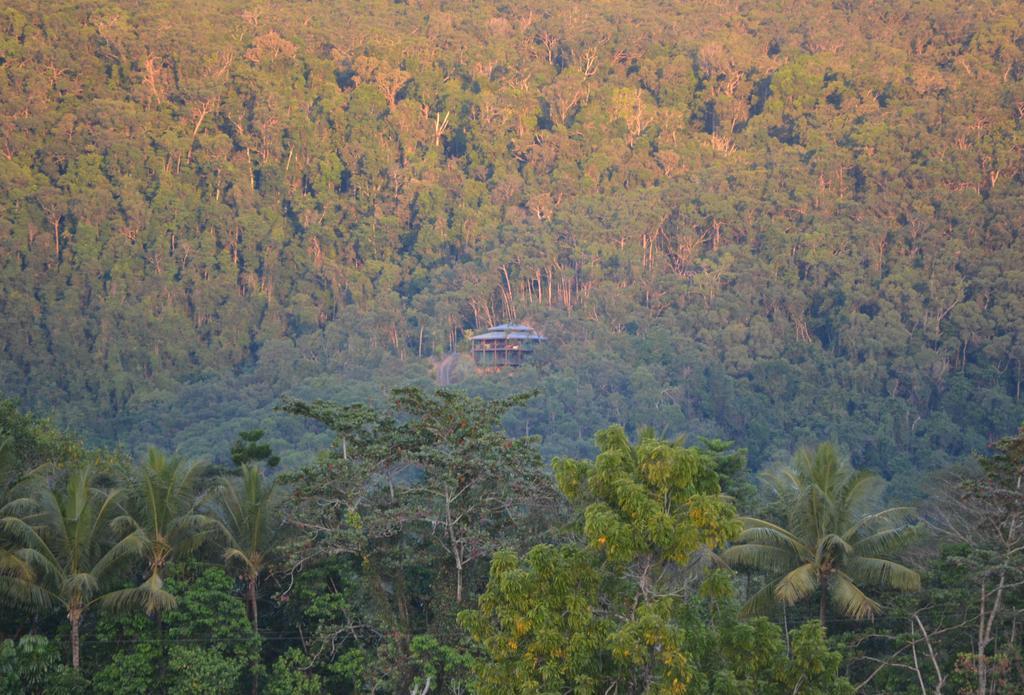 Cloud 9 Villa Daintree Luaran gambar