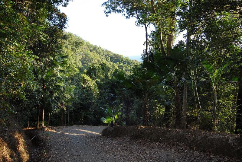 Cloud 9 Villa Daintree Luaran gambar